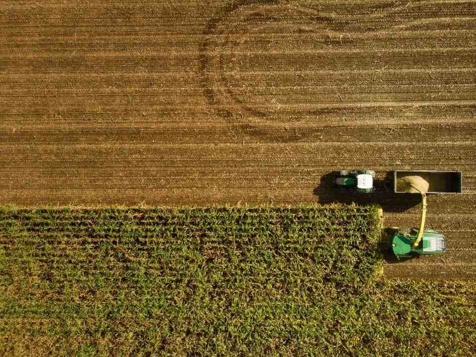 Alianza entre Ficohsa y USAID para impulsar a campesinos hondureños en Consorcio Agrocomercial